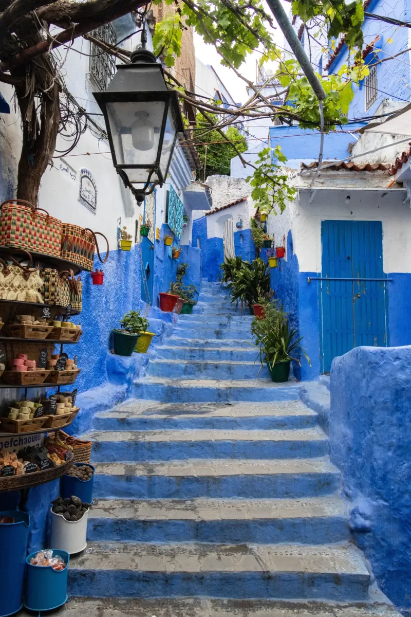 Blue medina steps beneath vines and lanterns in Chefchaouen