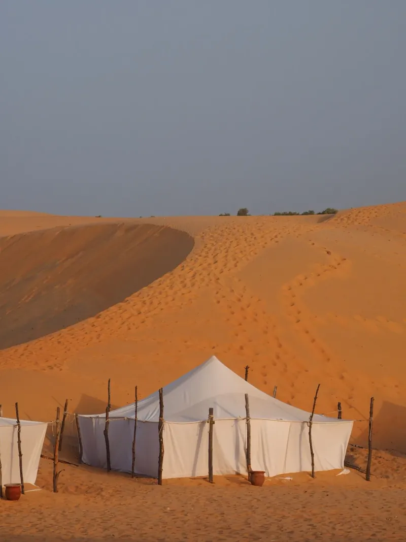 Traditional white tents among the Merzouga dunes